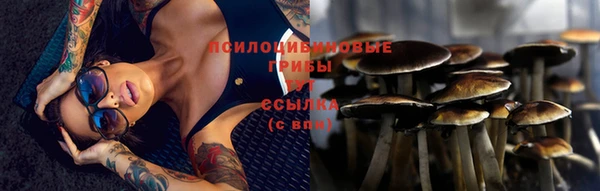 синтетический гашиш Вязьма