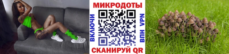 Галлюциногенные грибы мухоморы  Иваново 
